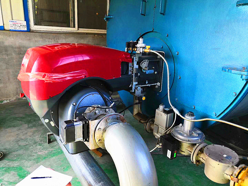 道森超低氮燃烧机