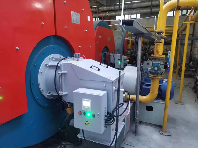 道森燃烧机案例